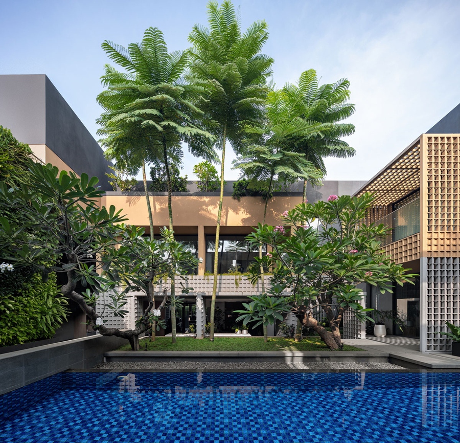 Trồng cây bóng mát ở biệt thự đơn giản với 15 Loại cây trồng