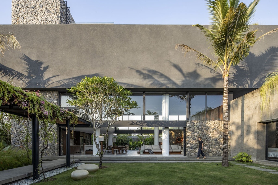 Trồng cây bóng mát ở biệt thự đơn giản với 15 Loại cây trồng