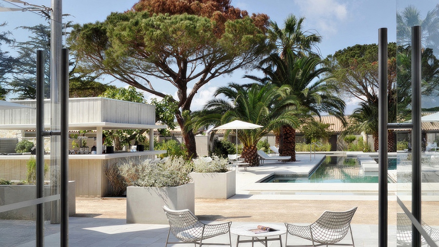 Trồng cây bóng mát ở biệt thự đơn giản với 15 Loại cây trồng